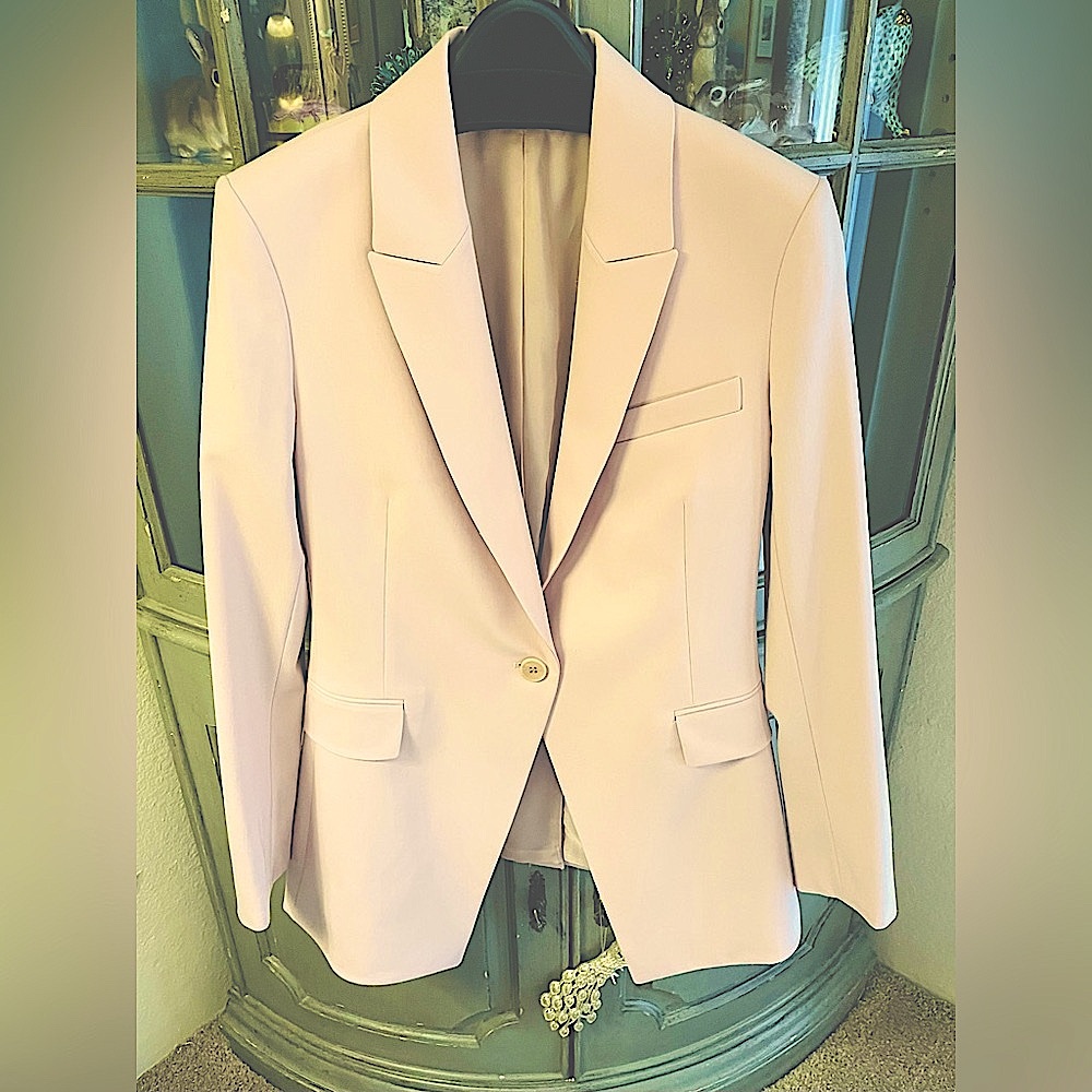 Theory Pantsuit in Petal Pink ( pants: 2)